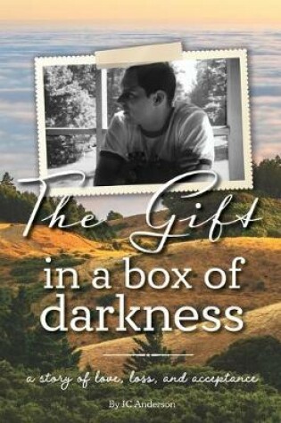 Cover of The Gift in a Box of Darkness