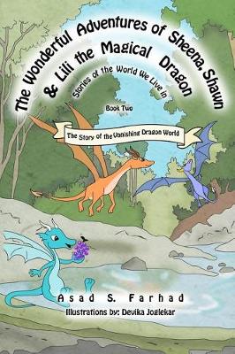 Book cover for The Story of the Vanishing Dragon World