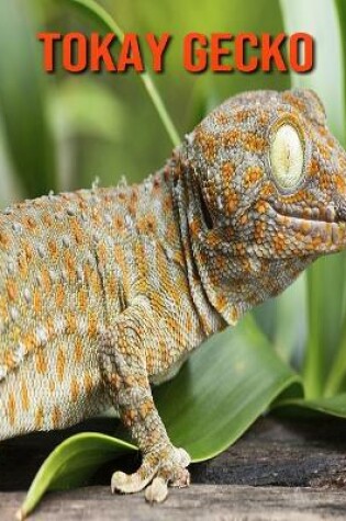 Cover of Tokay Gecko