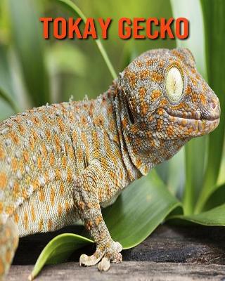 Book cover for Tokay Gecko