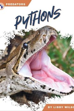 Cover of Pythons