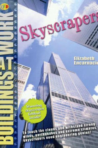 Cover of Sky Scrapers