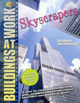 Book cover for Sky Scrapers