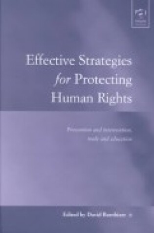 Cover of Effective Strategies for Protecting Human Rights