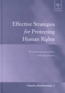 Book cover for Effective Strategies for Protecting Human Rights