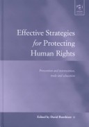 Cover of Effective Strategies for Protecting Human Rights