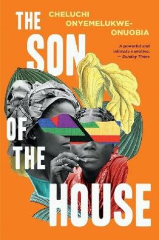 Cover of The Son of the House