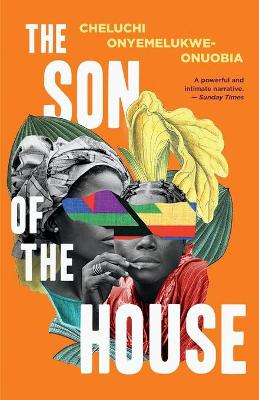 Book cover for The Son of the House