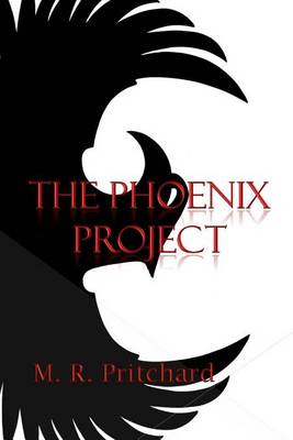 Book cover for The Phoenix Project