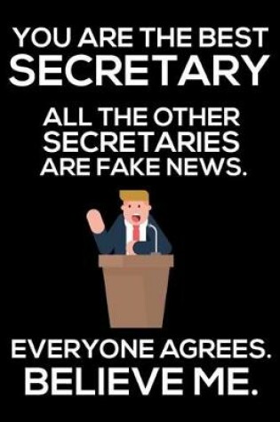 Cover of You Are The Best Secretary All The Other Secretaries Are Fake News. Everyone Agrees. Believe Me.