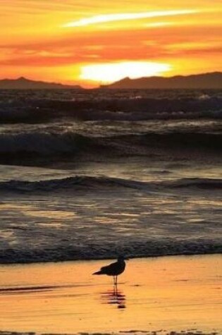 Cover of Beautiful Huntington Beach California USA At Sunset