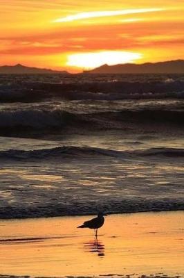 Book cover for Beautiful Huntington Beach California USA At Sunset