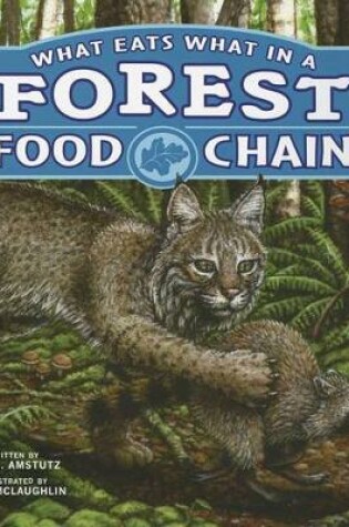 Cover of Food Chains What Eats What in a Forest Food Chain