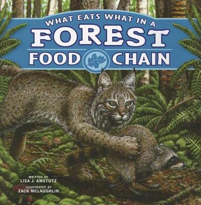 Book cover for What Eats What in a Forest Food Chain (Food Chains)