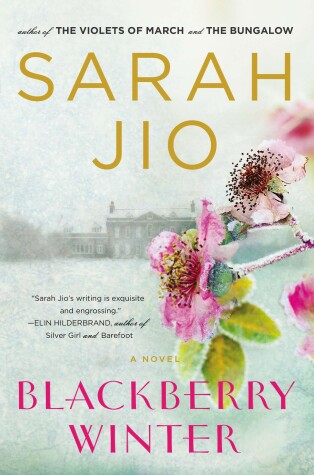 Book cover for Blackberry Winter