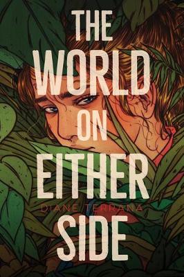 Cover of The World on Either Side