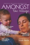 Book cover for Amongst the Village Magazine