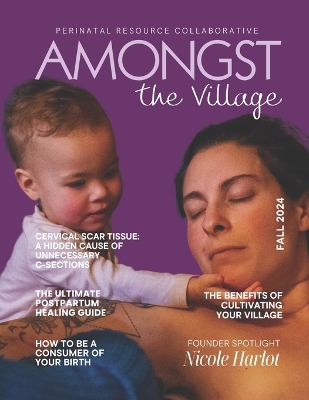 Book cover for Amongst the Village Magazine