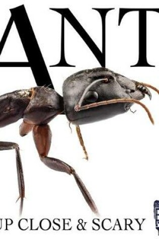 Cover of Ant