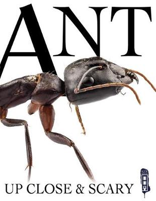 Book cover for Ant