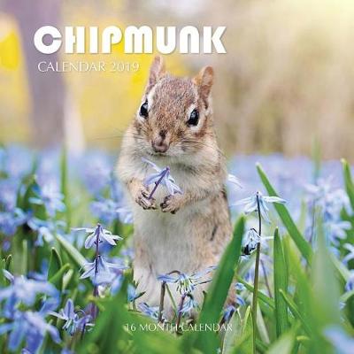 Book cover for Chipmunk Calendar 2019