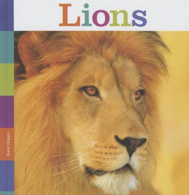 Cover of Lions