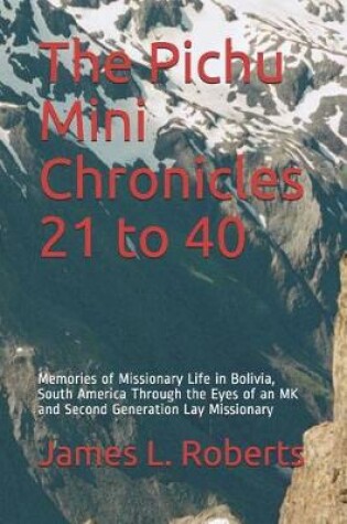 Cover of The Pichu Mini Chronicles 21 to 40