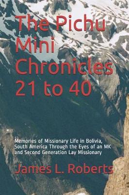 Book cover for The Pichu Mini Chronicles 21 to 40