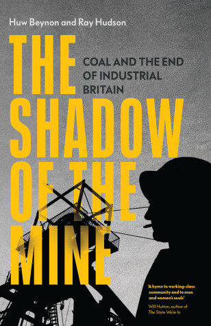 Book cover for The Shadow of the Mine