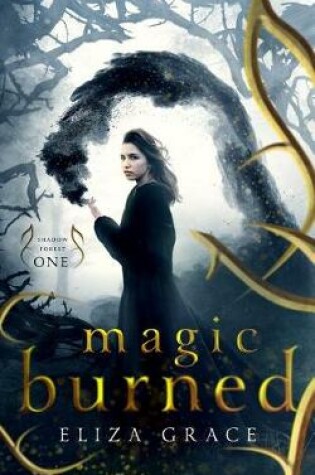 Cover of Magic Burned