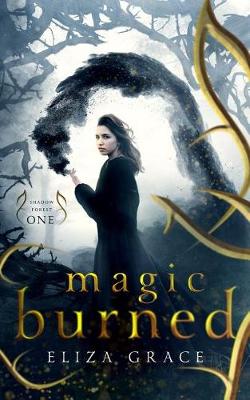 Book cover for Magic Burned