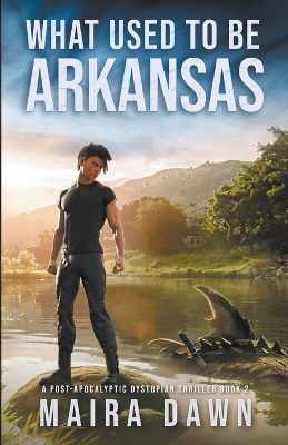 Cover of What Used to be Arkansas