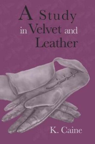 Cover of A Study in Velvet and Leather