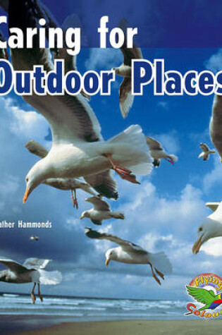 Cover of Caring for Outdoor Places