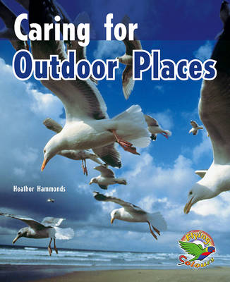 Book cover for Caring for Outdoor Places