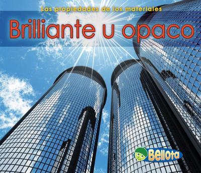 Book cover for Brillante U Opaco