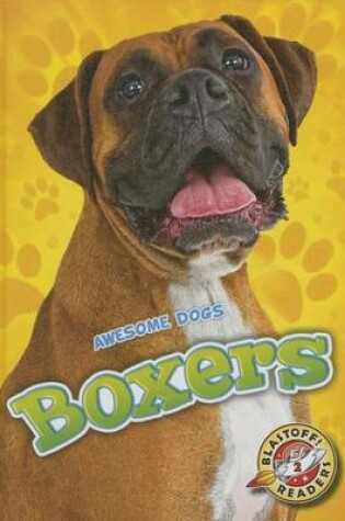 Cover of Boxers