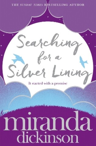 Cover of Searching for a Silver Lining