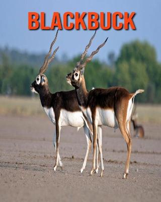 Book cover for Blackbuck