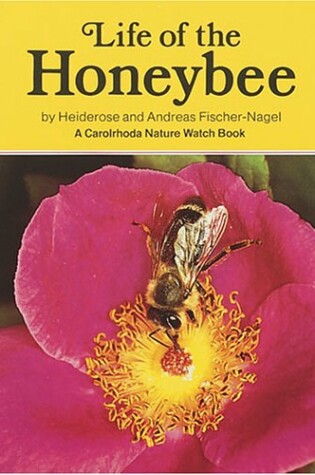 Cover of Life of the Honeybee (Carolrhoda Nature Watch Book)