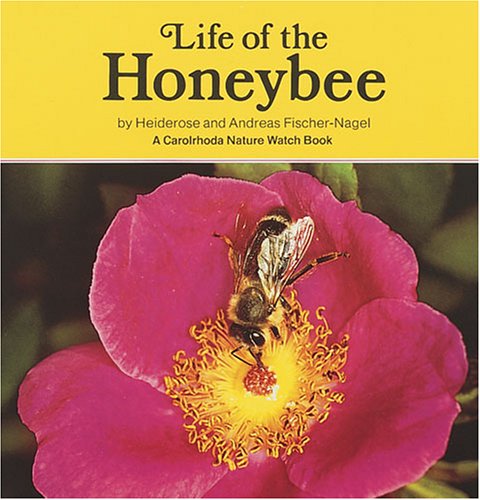 Book cover for Life of the Honeybee (Carolrhoda Nature Watch Book)