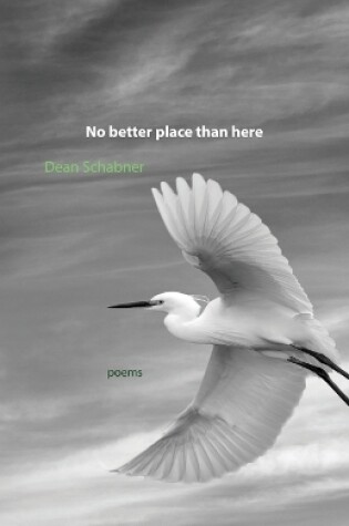 Cover of No better place than here