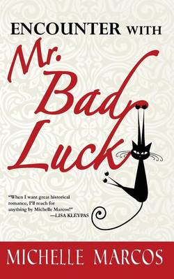 Book cover for Encounter with Mr. Bad Luck