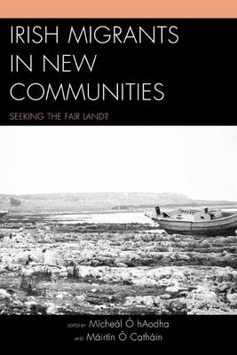 Book cover for Irish Migrants in New Communities