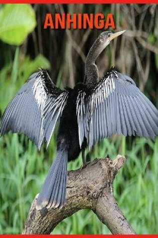 Cover of Anhinga