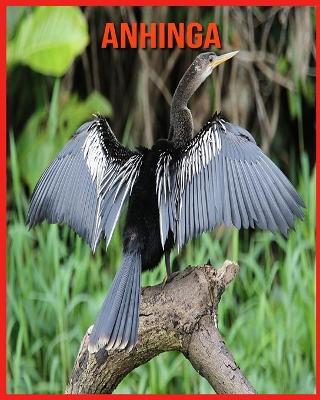 Book cover for Anhinga