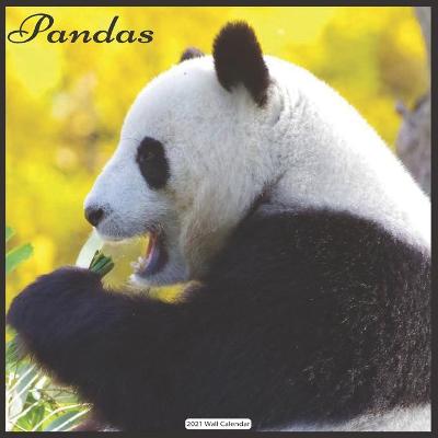 Book cover for Pandas 2021 Wall Calendar