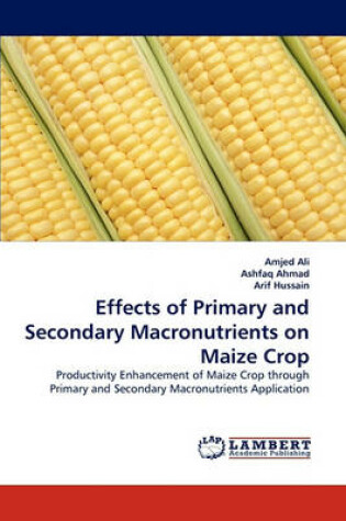 Cover of Effects of Primary and Secondary Macronutrients on Maize Crop