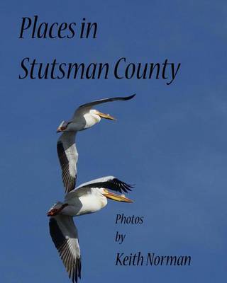 Book cover for Places in Stutsman County