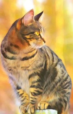 Book cover for Journal Notebook For Cat Lovers - Tabby Cat Sitting Pretty